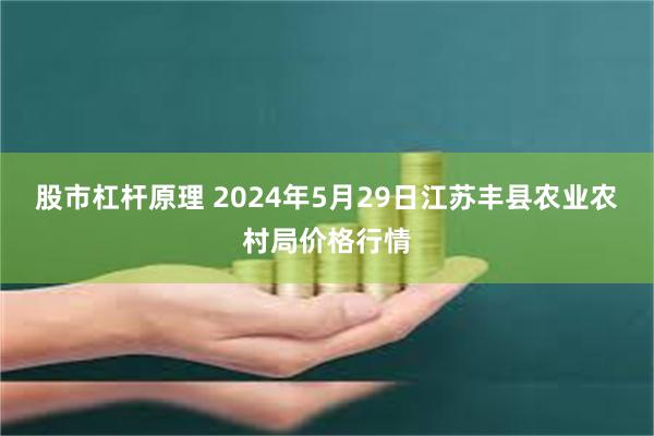 股市杠杆原理 2024年5月29日江苏丰县农业农村局价格行情