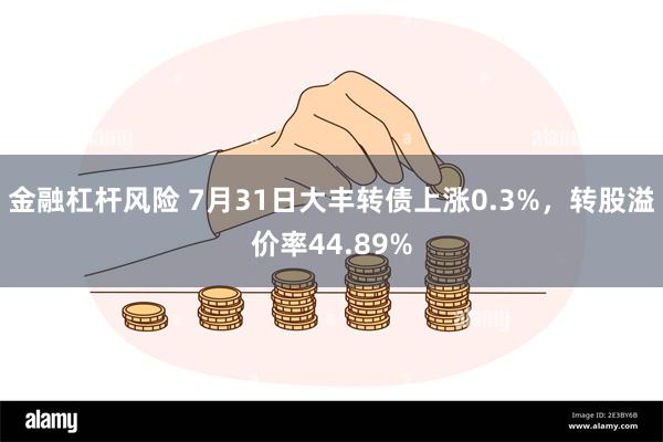 金融杠杆风险 7月31日大丰转债上涨0.3%，转股溢价率44.89%