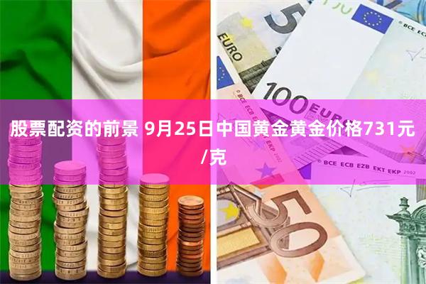 股票配资的前景 9月25日中国黄金黄金价格731元/克